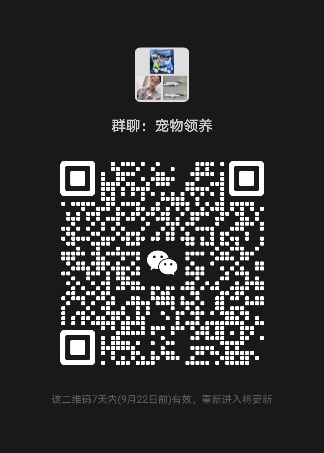 ｻȺ